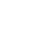 TikTok Icon